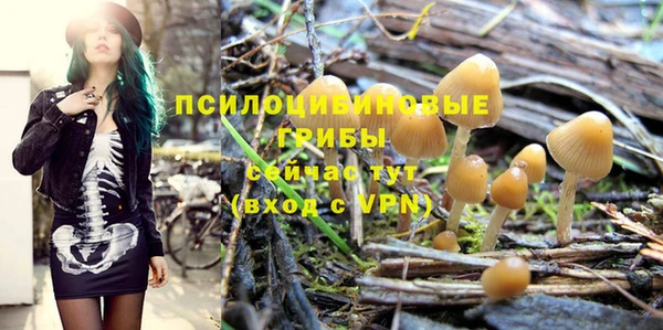 ПСИЛОЦИБИНОВЫЕ ГРИБЫ Горняк