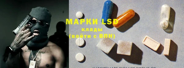 ПСИЛОЦИБИНОВЫЕ ГРИБЫ Горняк