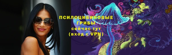 ПСИЛОЦИБИНОВЫЕ ГРИБЫ Горняк