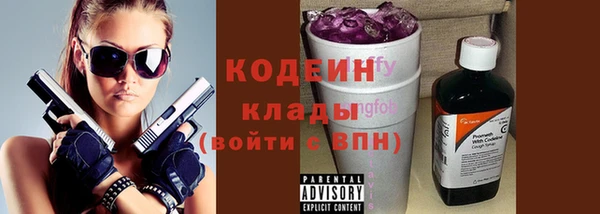 ПСИЛОЦИБИНОВЫЕ ГРИБЫ Горняк