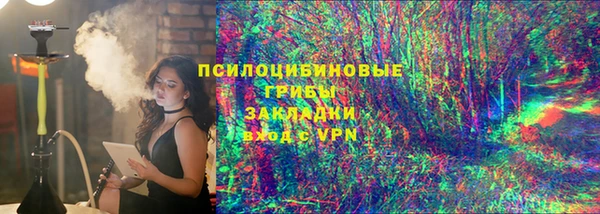 винт Горно-Алтайск