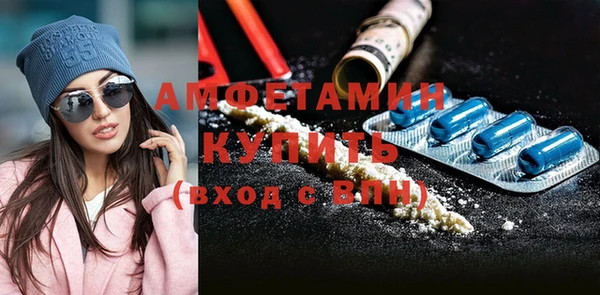 ПСИЛОЦИБИНОВЫЕ ГРИБЫ Горняк