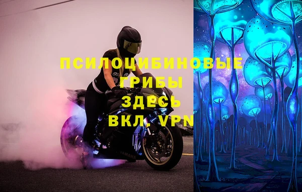 винт Горно-Алтайск